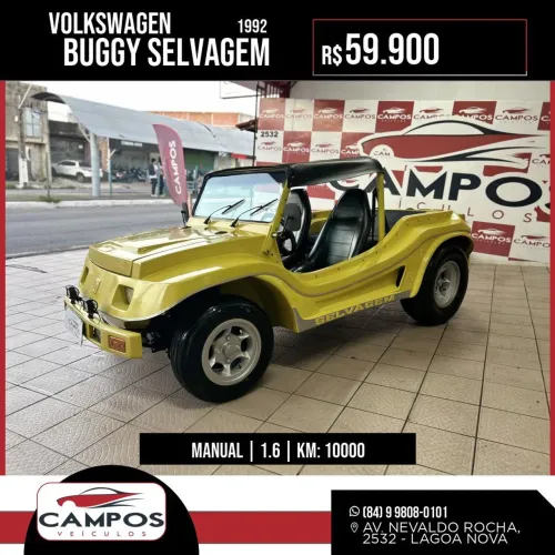 BUGGY SELVAGEM 1.6