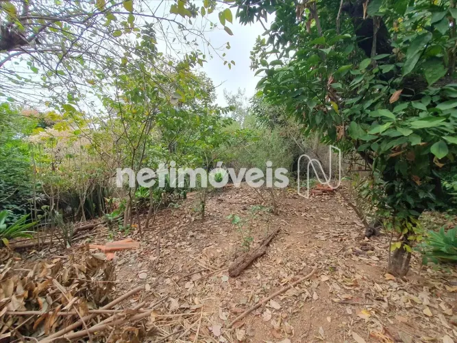 Venda Lote-Área-Terreno Lajeado Belo Horizonte