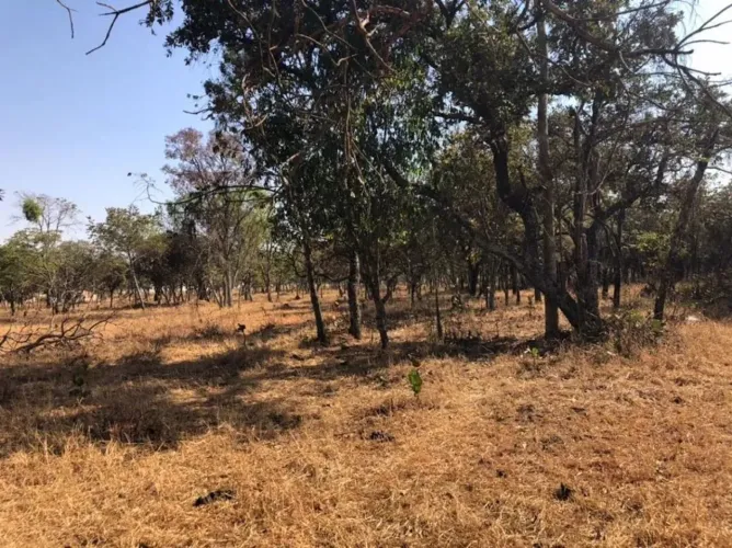Chácara com 1 dormitório à venda, 21000 m² por R$ 1.150.000,00 - Jockey Park - Uberaba/MG