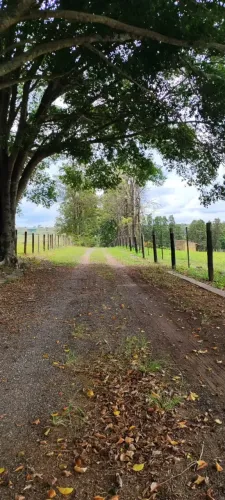 EXCELENTE SÍTIO A VENDA EM ITAPETININGA-SP