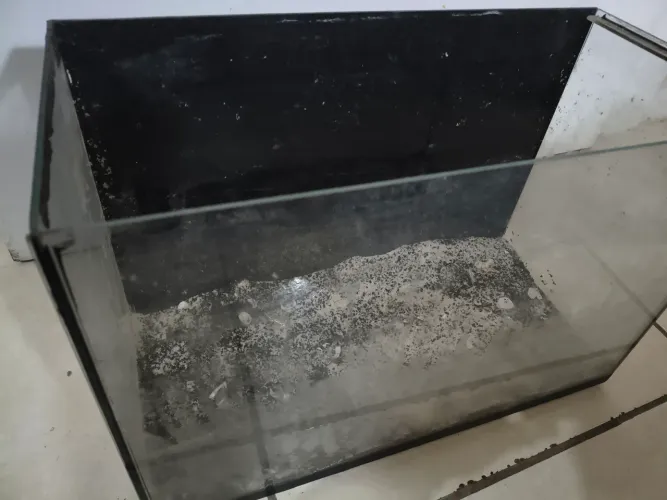 Aquário 25L