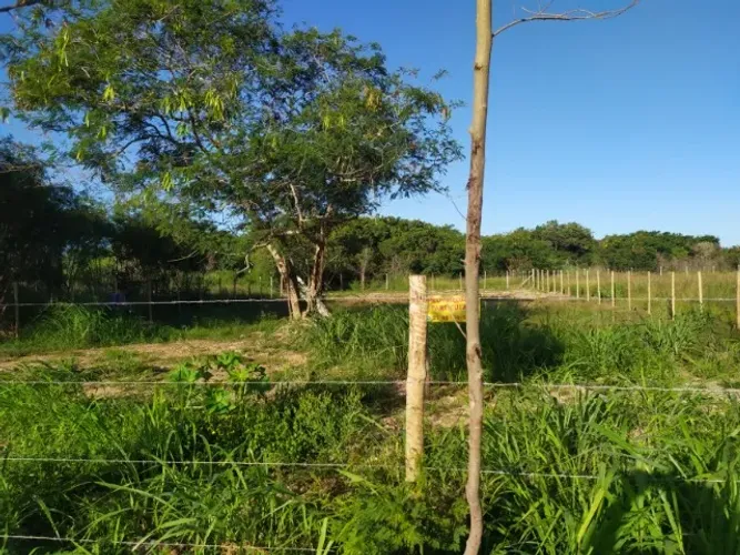 OPORTUNIDADE EM BÚZIOS: Terreno de 1.000 m² no Bairro Marina