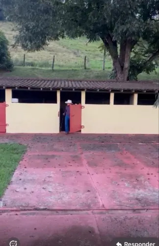 Alugo baia para cavalos