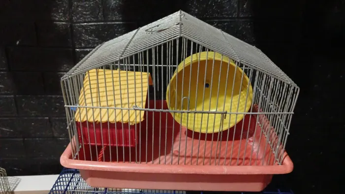 Gaiola hamster e porquinho da india