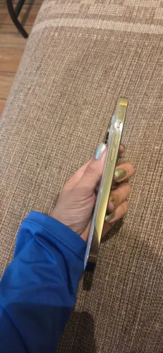 iPhone 14 Pro Max Gold