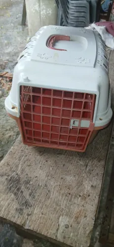 Caixa transporte pet tam 44x21 