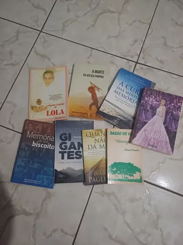 Lote livros diversos