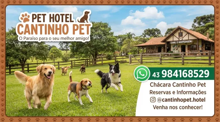 Pet hotel cantinho pet