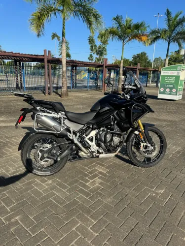 TIGER 1200 BLACK EDITION 2024