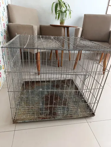 Gaiola para transporte de animais 
