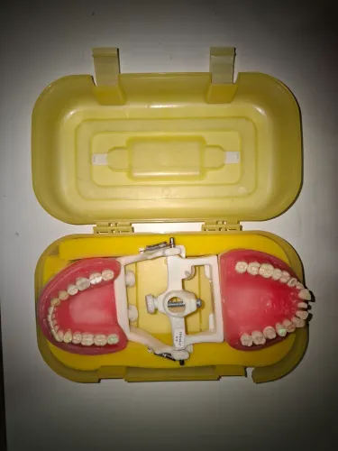 Vendo manequim dentário pronew