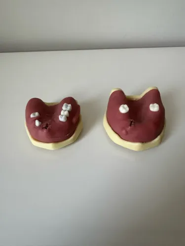 Manequim de Cirurgia Orais Seminovo