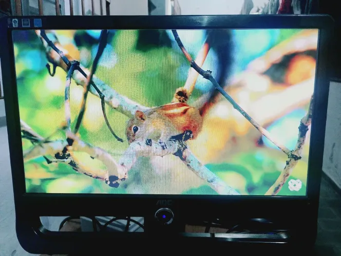 Monitor AOC 18,5 polegadas 