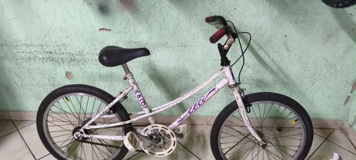 Bicicleta aro 20 Ceci revisada!