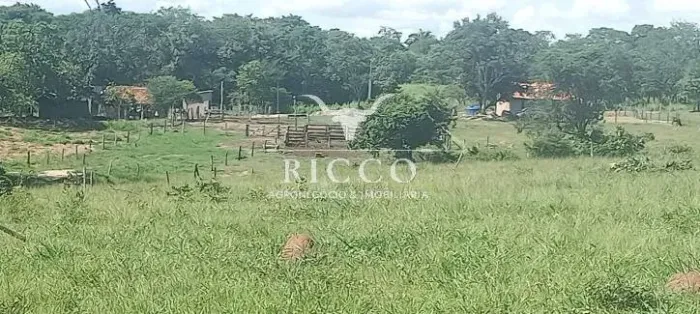 Chácara à Venda | 6 Alqueires Arenópolis-GO | Porteira Fechada