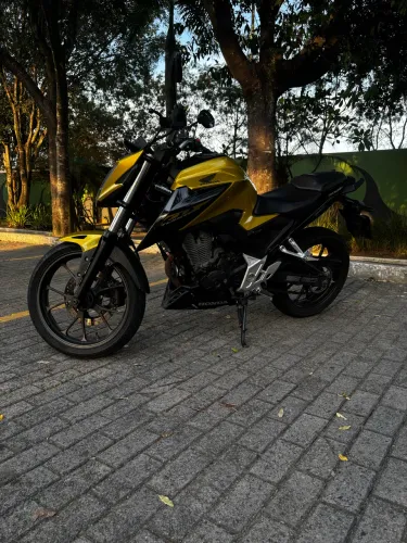 Twister 300 2023