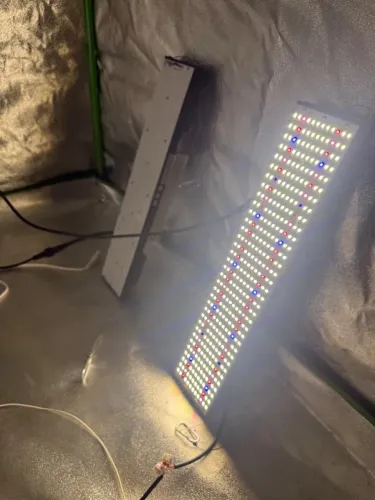 Led LM301H, 240w, 35K UV660 IR BLUE FS