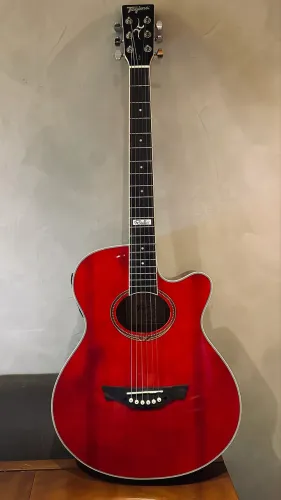 Violão Tagima TW-29 Elétrico Aço + Bag + Correia + Capotraste | Impecável