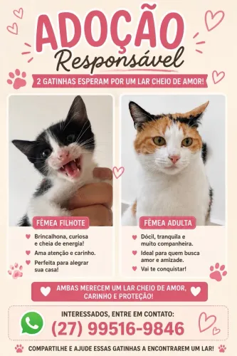 Adoção Responsável ! 