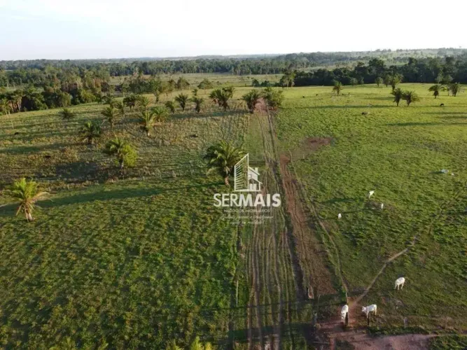 Fazenda à venda, 968000 m² por R$ 6.000.000,00 - Zona Rural - Jaru/RO