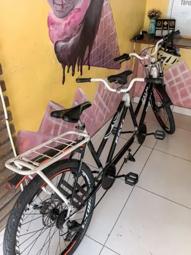 Bicicleta dupla