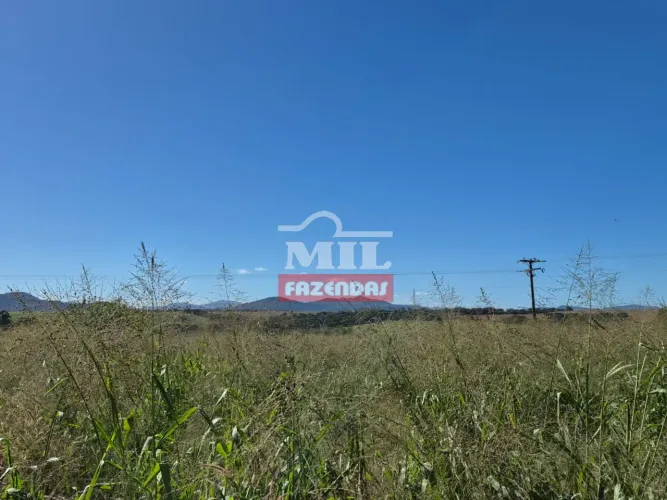 Chácara 4 alqueires (19,36 hectares) São Francisco de Goiás - GO