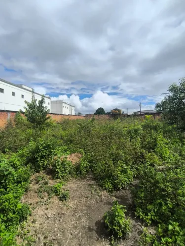 TERRENO À VENDA  1.000 m² Prox. ao Condomínio Terras Alphaville Camaçari.