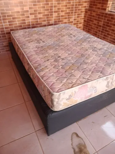 Cama de casal colchão com a base 200.00 para desocupar