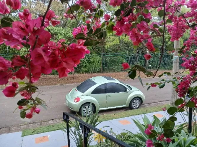 Volkswagen New Beetle 2.0 MI Mec./aut. 2009