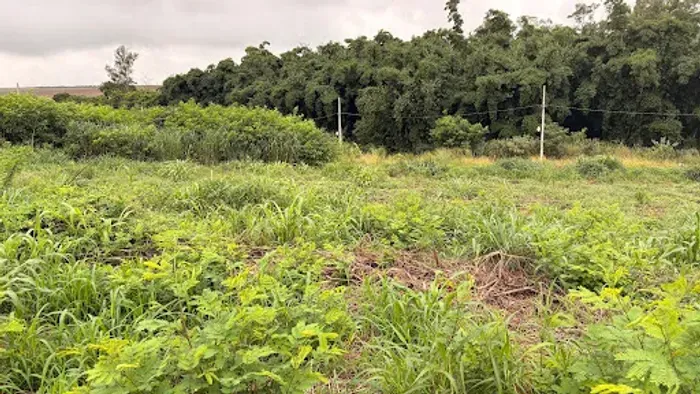 Terreno à venda, 1750 m² por R$ 2.600.000,00 - Zona 05 - Maringá/PR