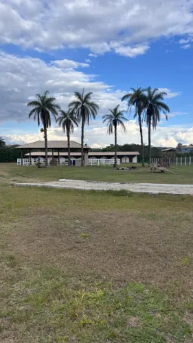 Vaga de emprego para Tratador de Equinos em Haras