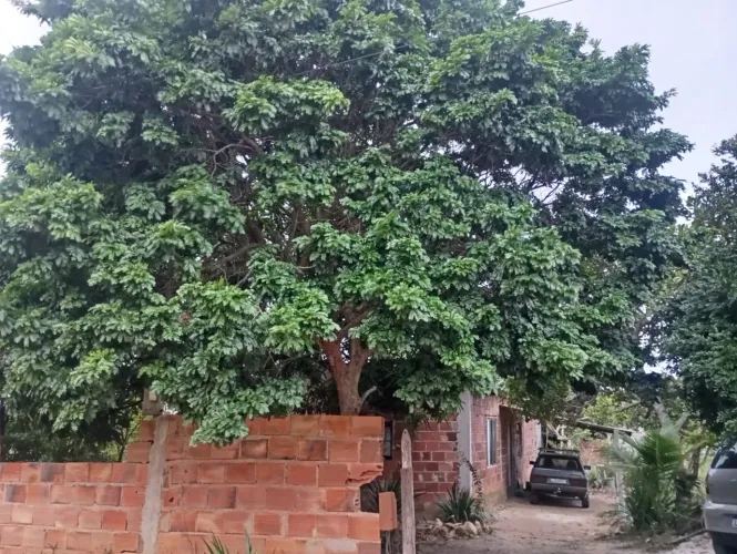 Casa em Araruama Região dos lagos 