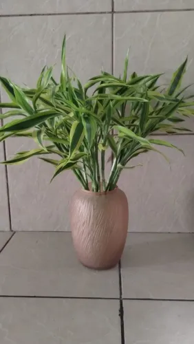 5 hastes de bambu da sorte