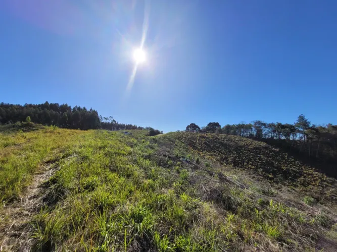 Terreno em Campo Alegre SC - 37.000 m²