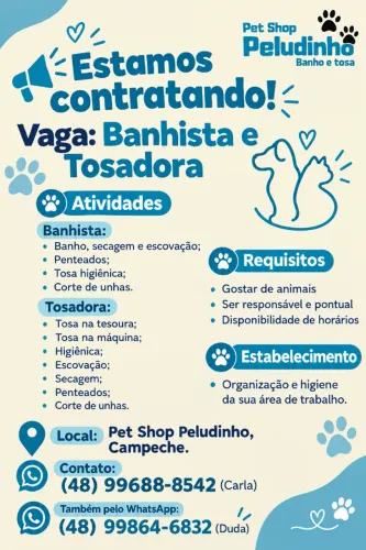 vaga de emprego 