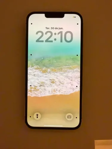 IPhone 13 Pro Max 256gb - excelente estado