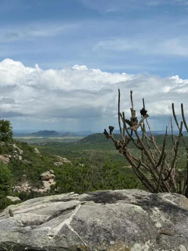Terreno com vista incrível em Monte das Gameleiras