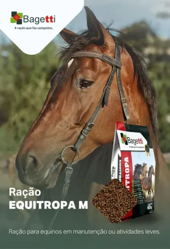 RAÇÃO EQUINO MELAÇADA 40KG