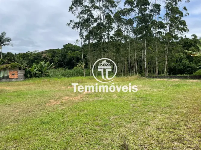 Excelente área plana no Rocio Grande a 500 metros da BR 280, na estrada de Laranjeiras e F