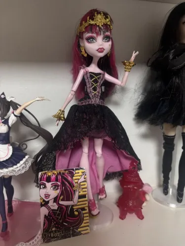 Draculaura 13 wish