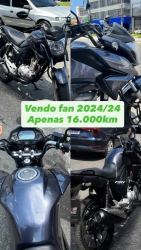 Fan 2024 novissima