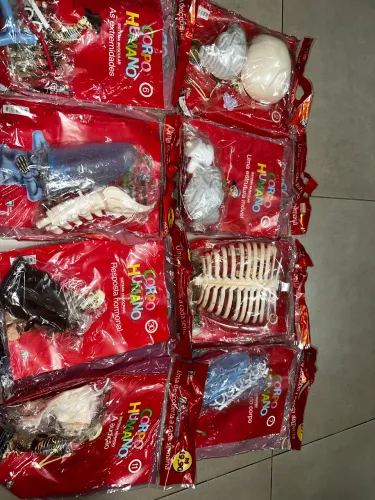 corpo humano montável
