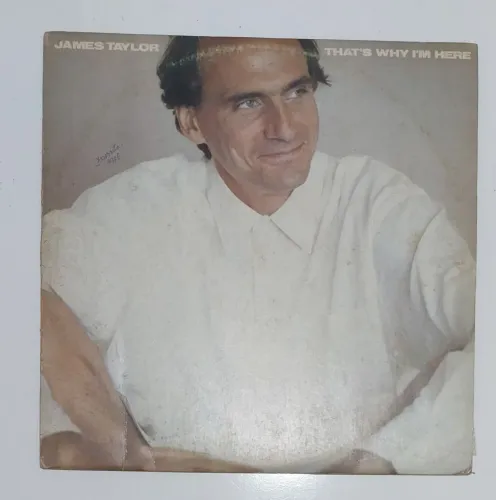 James Taylor - That's Why I'm Here
