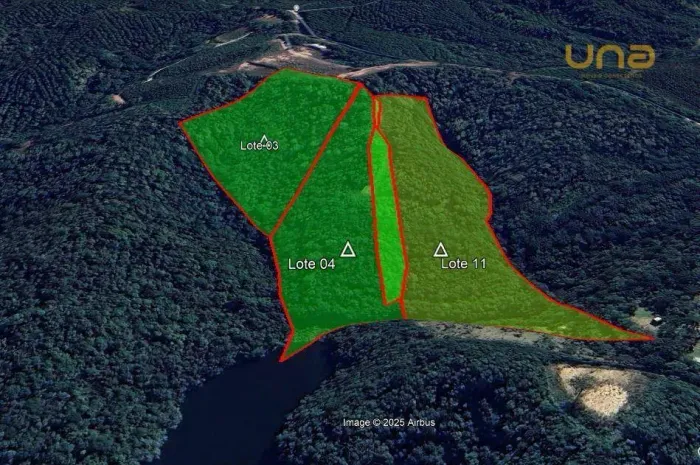 Terreno à venda, 20000 m² por R$ 160.000,00 - Belle Vie - Bocaiúva do Sul/PR