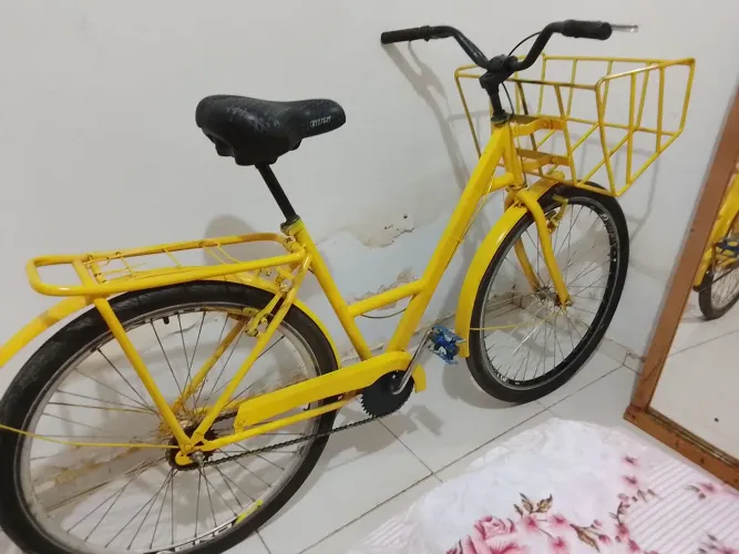 Bicicleta cargueira