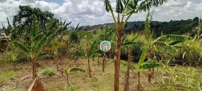 Solânea-PB Terreno amplo bem Localizado na Rua ao lado da avenida principal