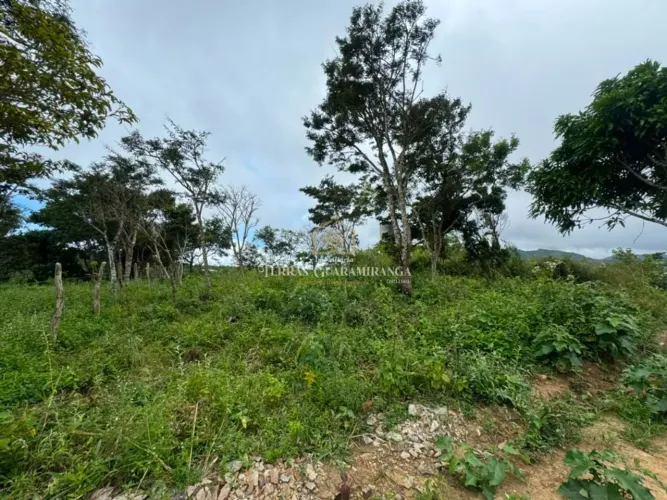 Terreno Plano de 360m² em Mulungu | Excelente Localização Próximo ao Centro