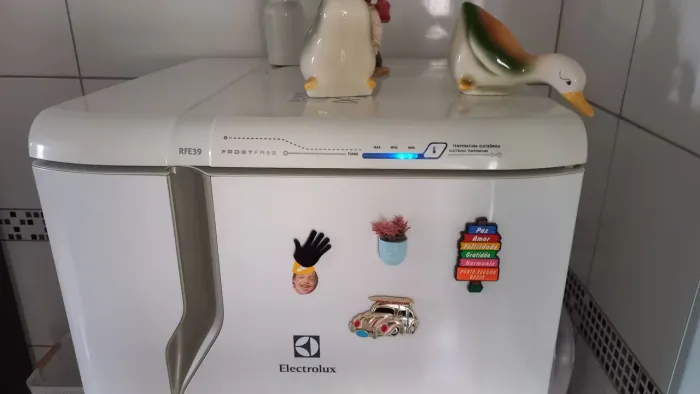 Geladeira electrolux RFE 39 , 322 litros! ( lê o anúncio todo!!!) 