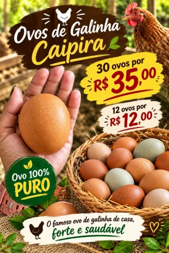Ovos de galinha caipira