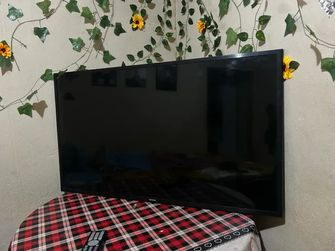 Televisão